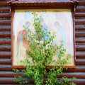 Photo 02
